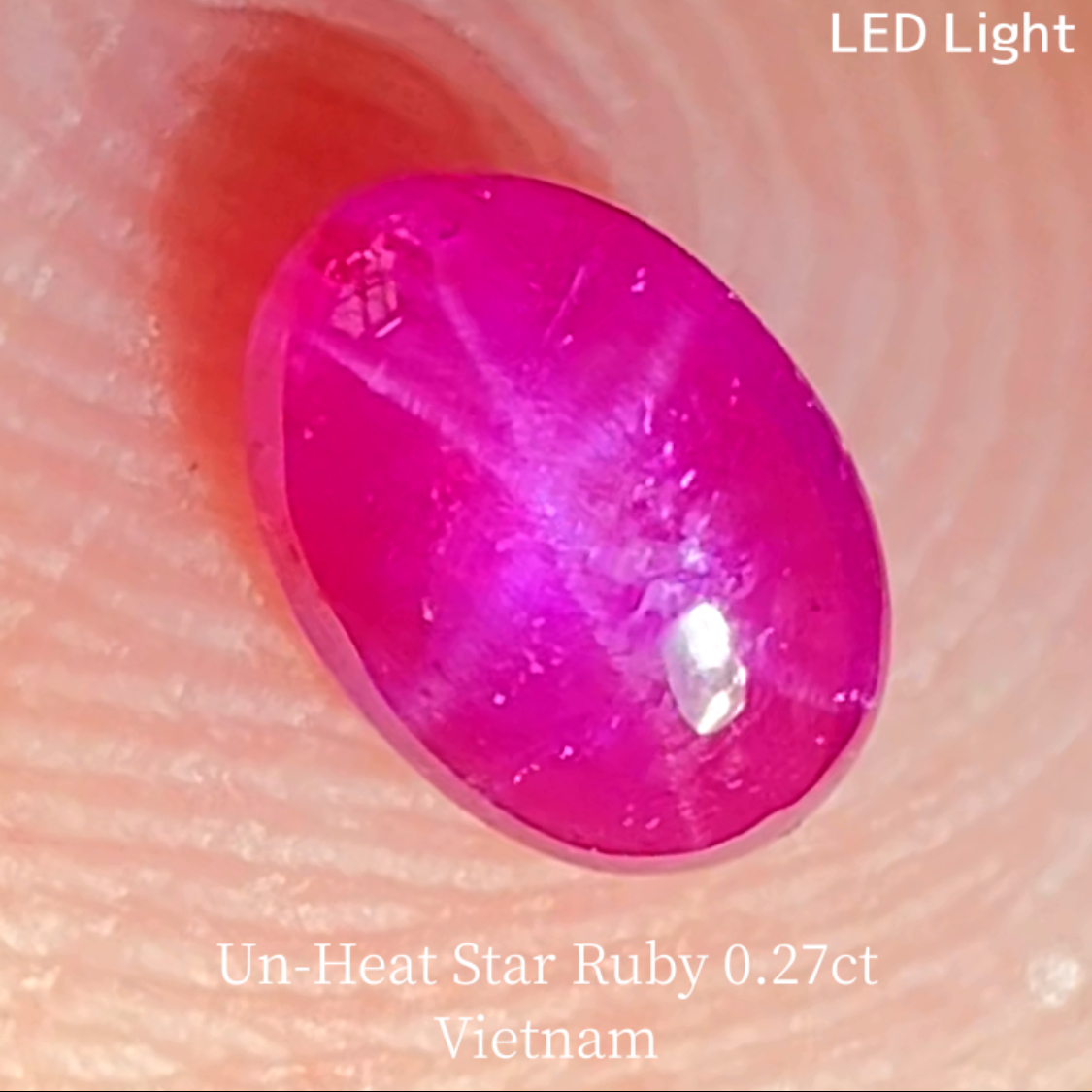【5万円以上のお買物で無料に】Un-Heat Star Ruby 0.275ct / Vietnam