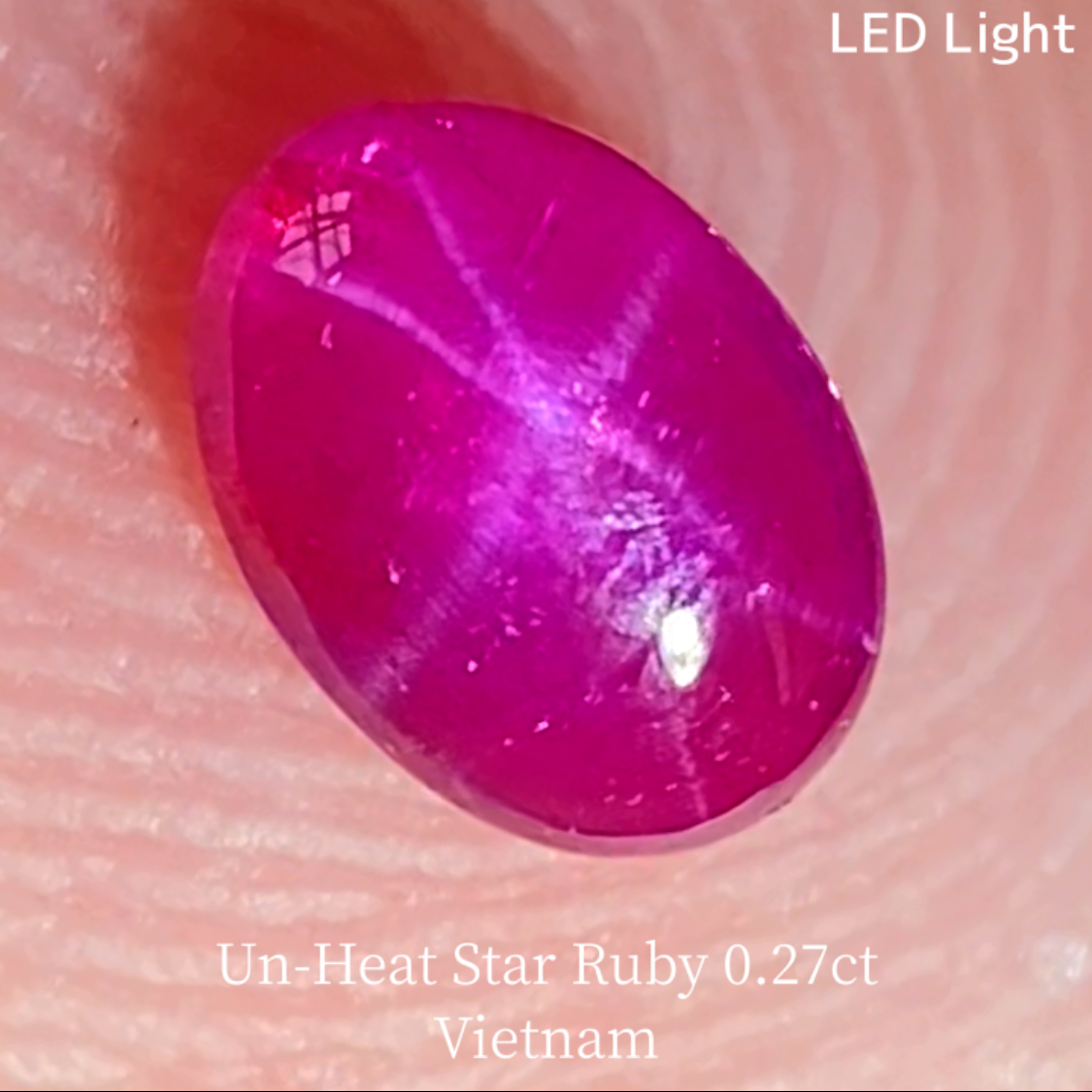 【5万円以上のお買物で無料に】Un-Heat Star Ruby 0.275ct / Vietnam