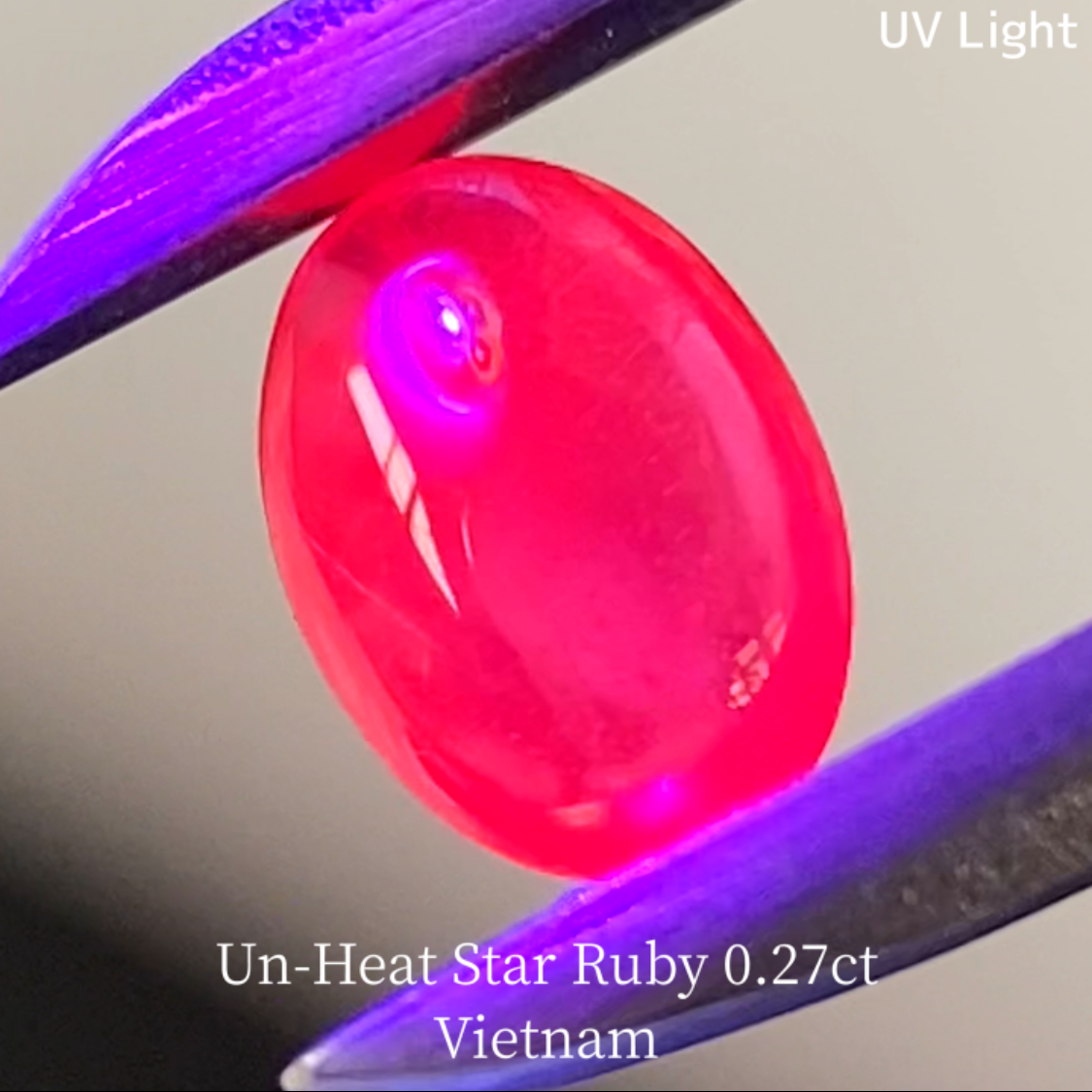 【5万円以上のお買物で無料に】Un-Heat Star Ruby 0.275ct / Vietnam