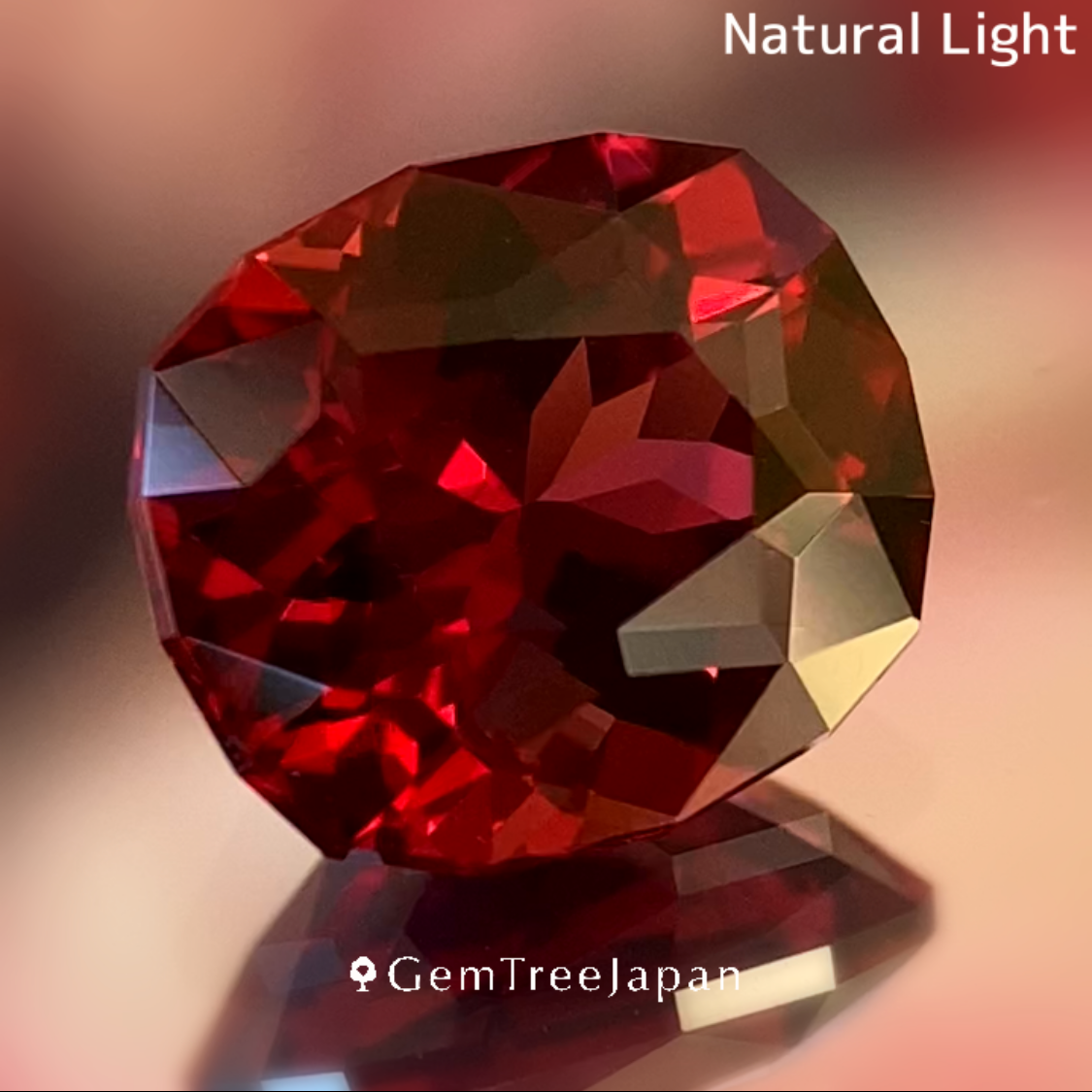 Rhodolite Garnet 2.224ct / Vietnam & Rhodolite Garnet0.38ct