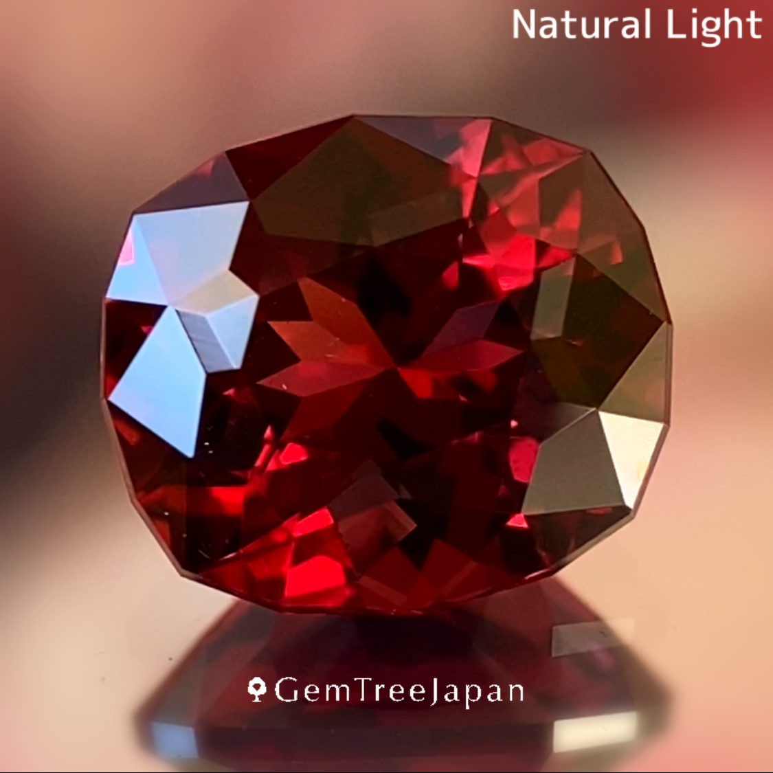 Rhodolite Garnet 2.224ct / Vietnam & Rhodolite Garnet0.38ct
