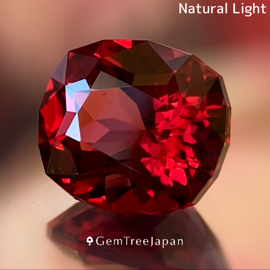 Rhodolite Garnet 2.224ct / Vietnam & Rhodolite Garnet0.38ct