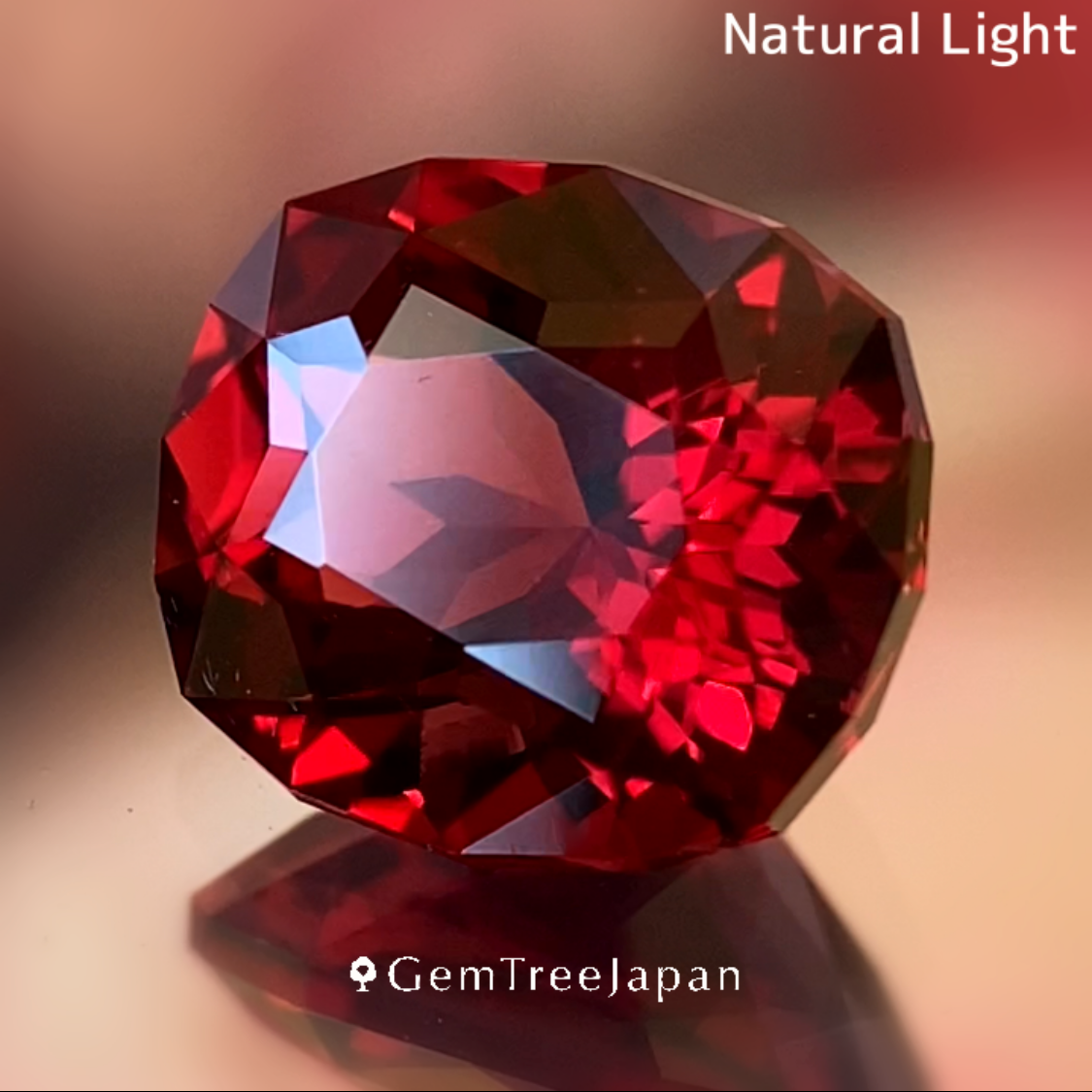 Rhodolite Garnet 2.224ct / Vietnam & Rhodolite Garnet0.38ct