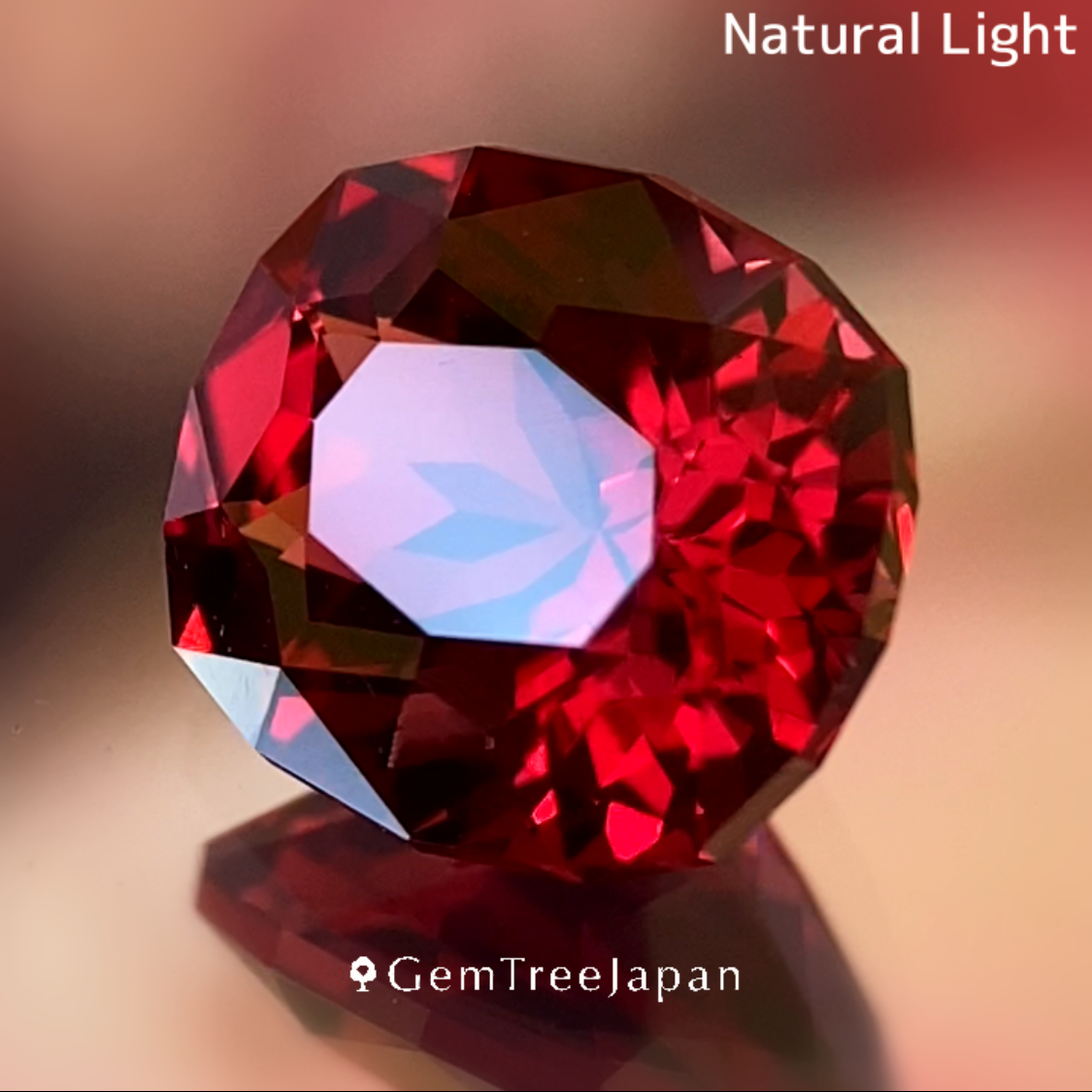 Rhodolite Garnet 2.224ct / Vietnam & Rhodolite Garnet0.38ct