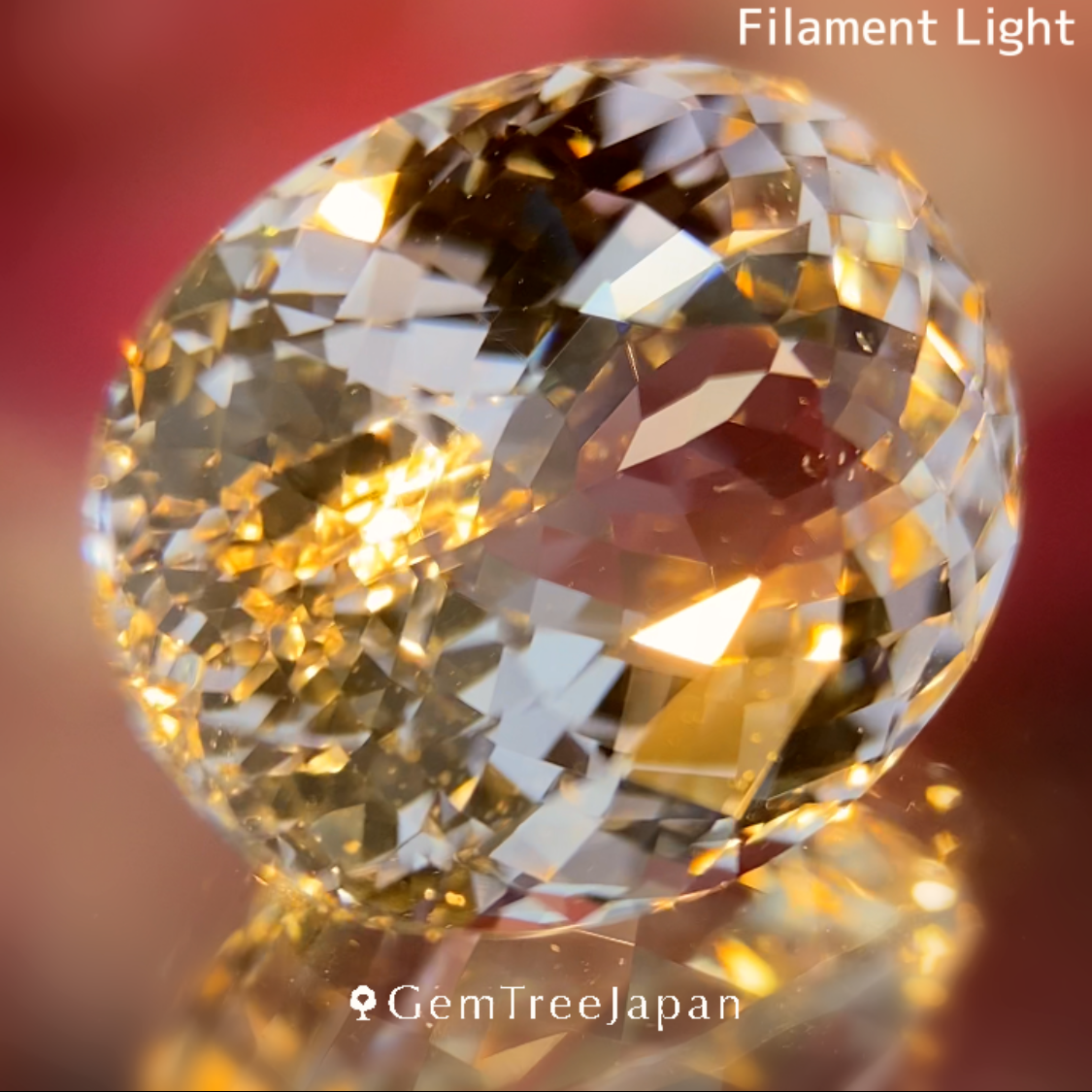 Colorless Topaz 9.196ct / Vietnam