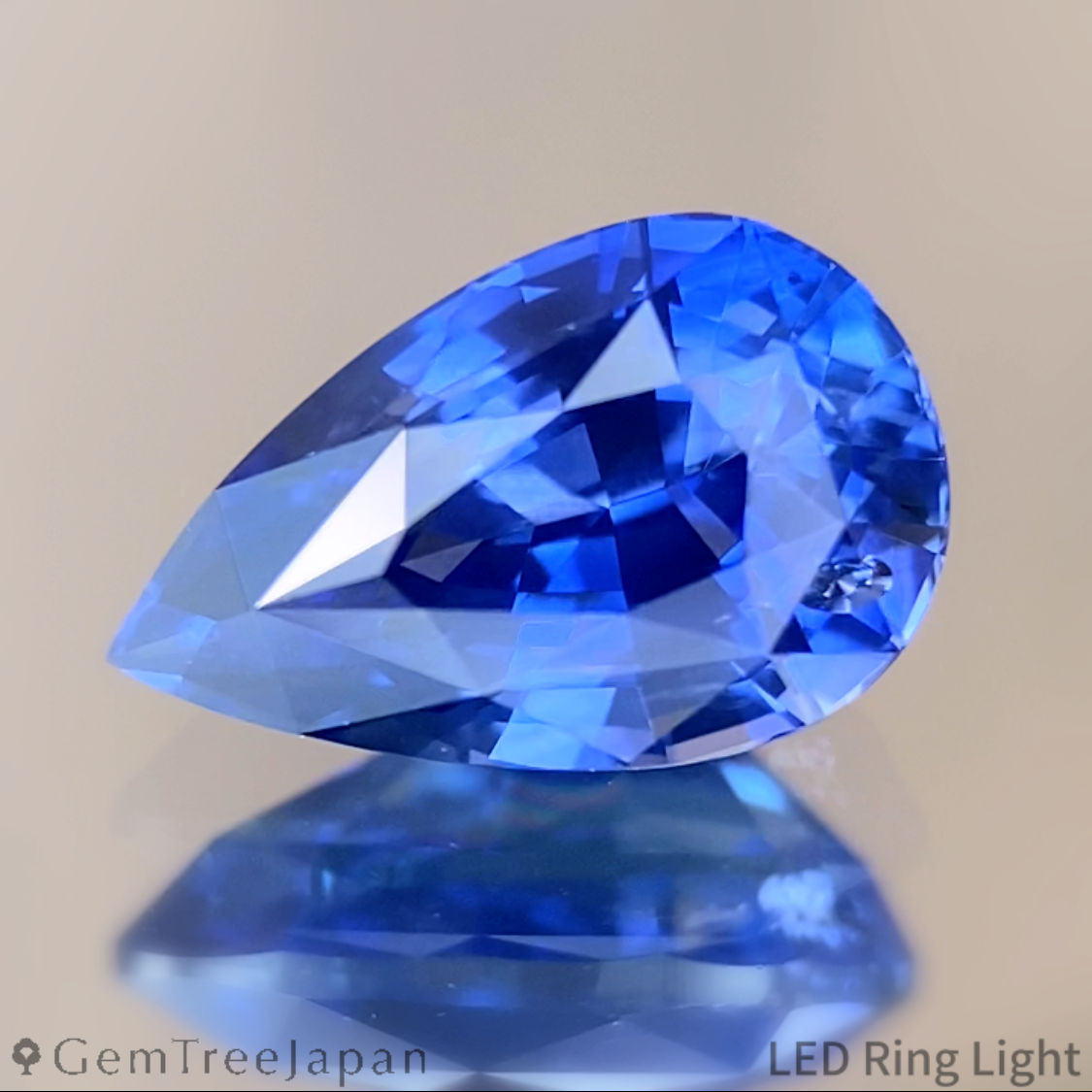 Trial Price】Cornflower Blue Sapphire 1.487ct / Myanmar(Burma
