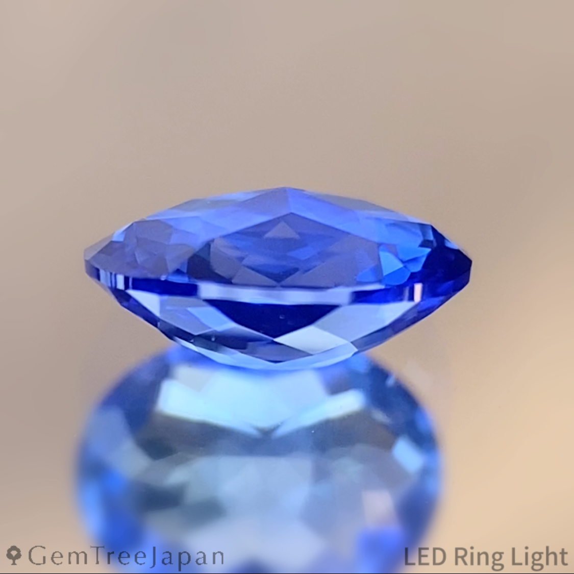 【Trial Price】Cornflower Blue Sapphire 0.702ct / Myanmar(Burma)