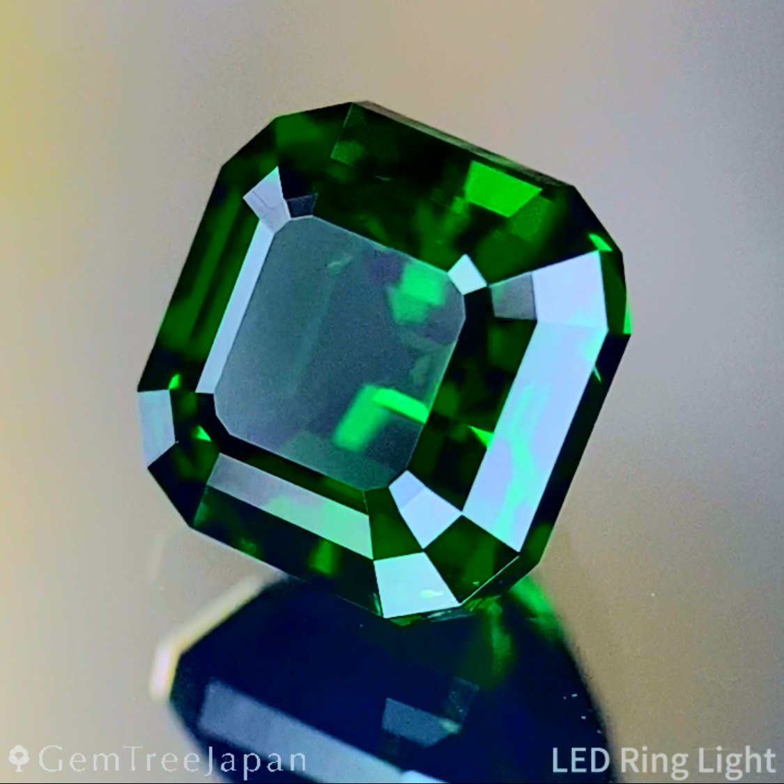Tsavorite (Grossular Garnet) 1.141ct / Tanzania