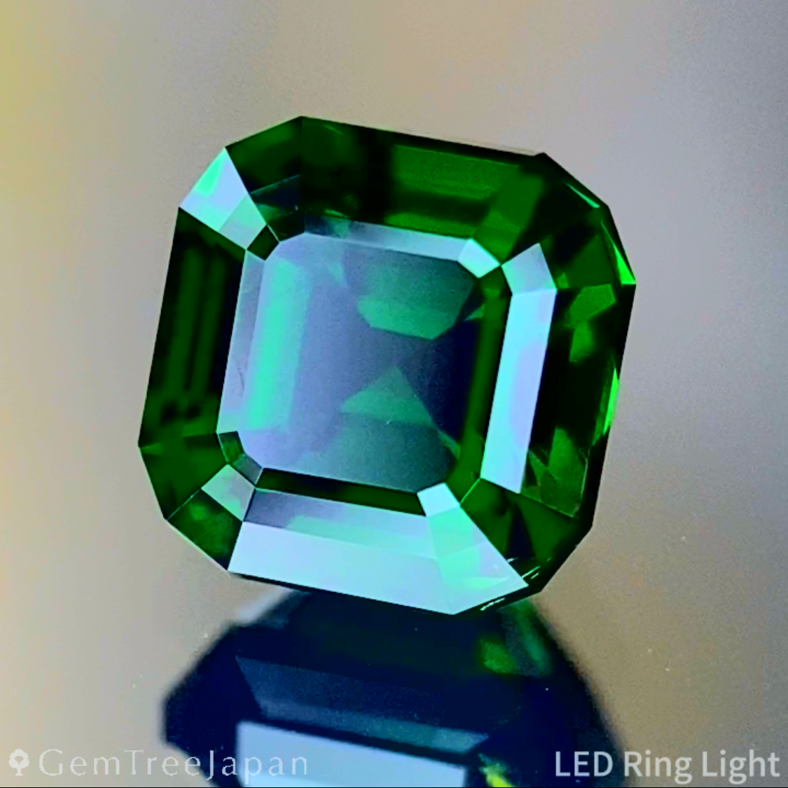 Tsavorite (Grossular Garnet) 1.141ct / Tanzania