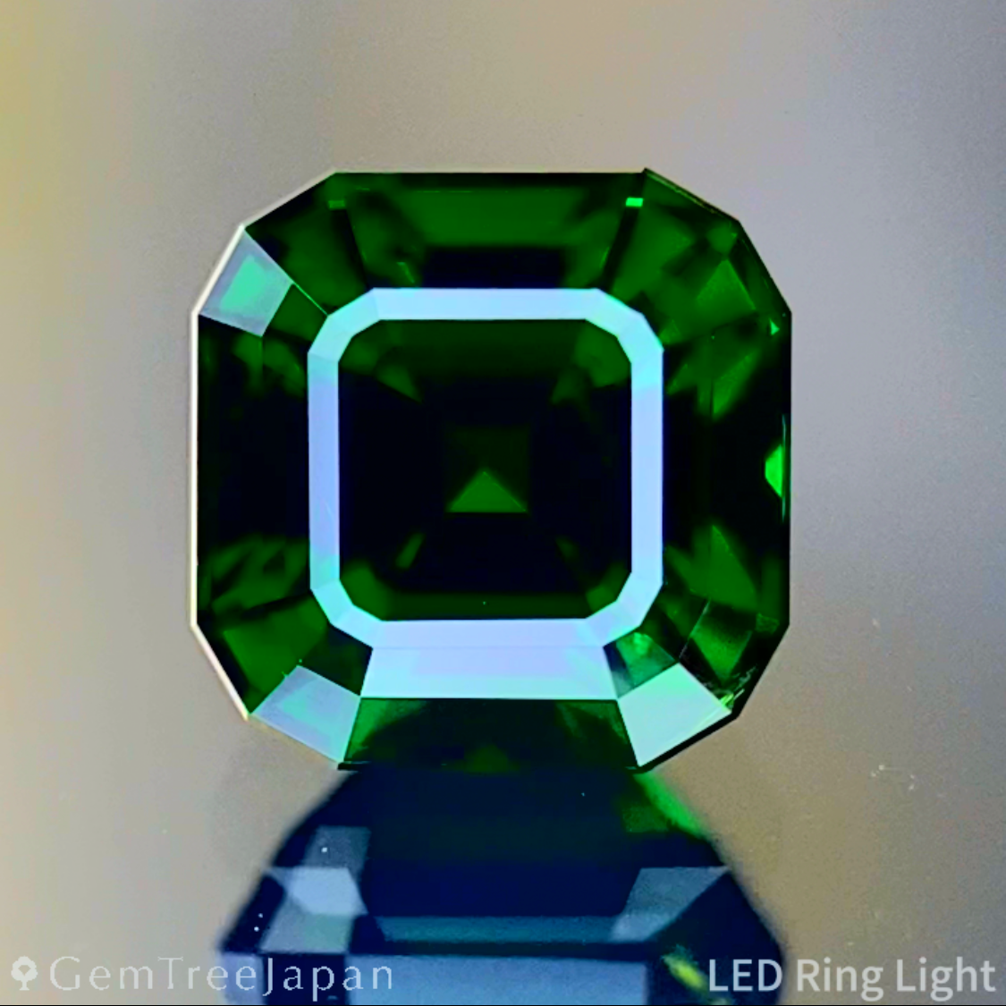 Tsavorite (Grossular Garnet) 1.141ct / Tanzania