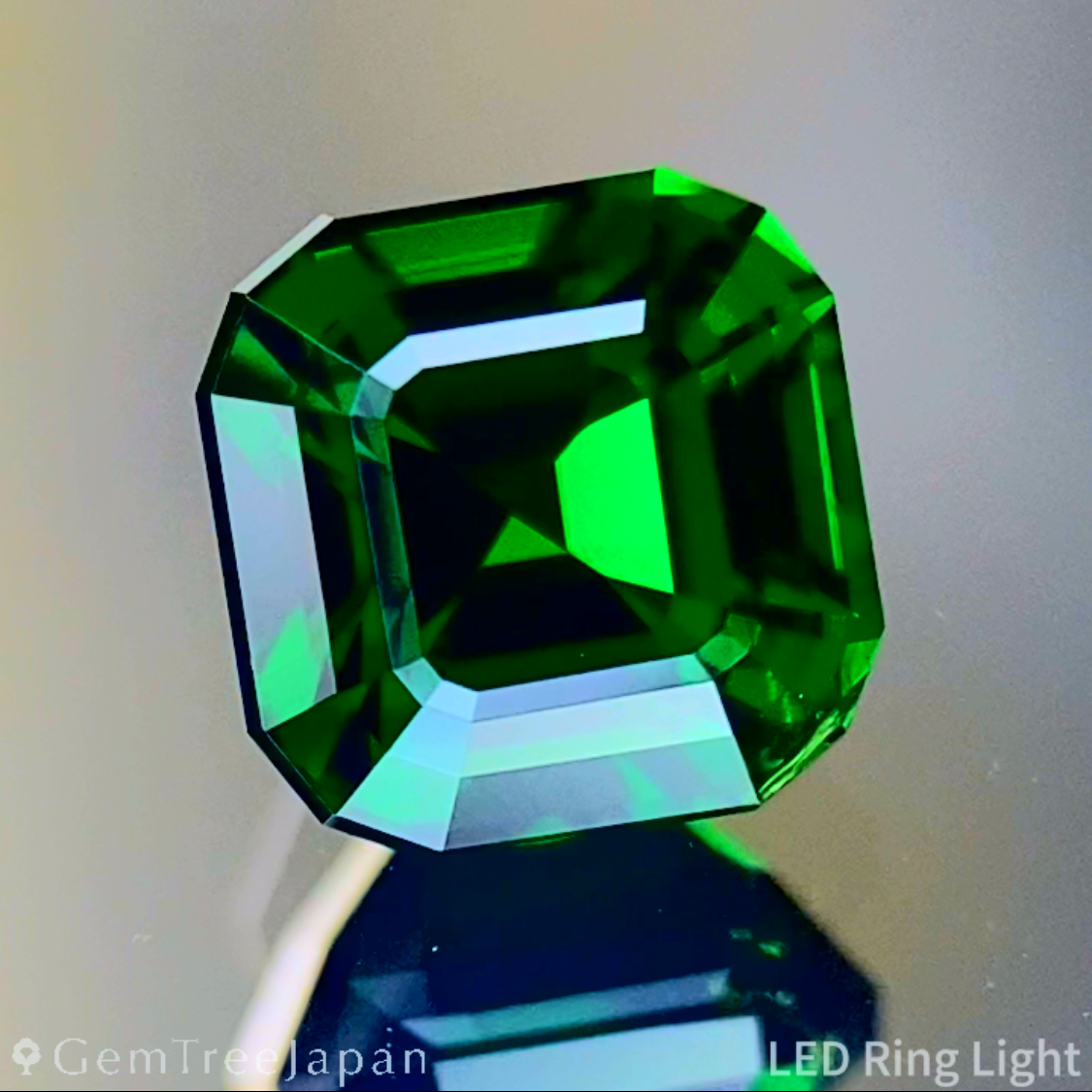 Tsavorite (Grossular Garnet) 1.141ct / Tanzania