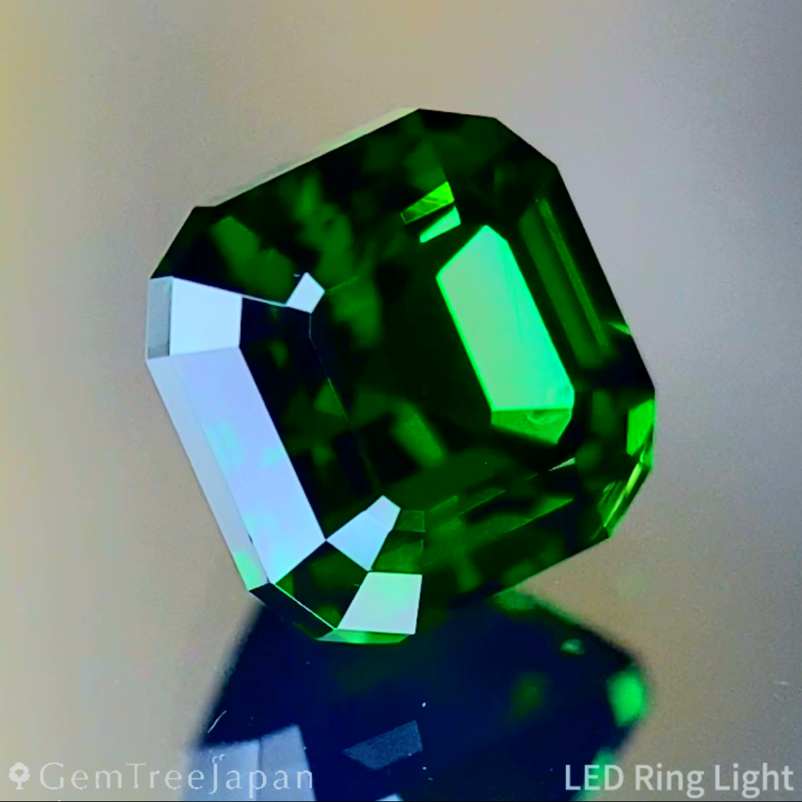 Tsavorite (Grossular Garnet) 1.141ct / Tanzania