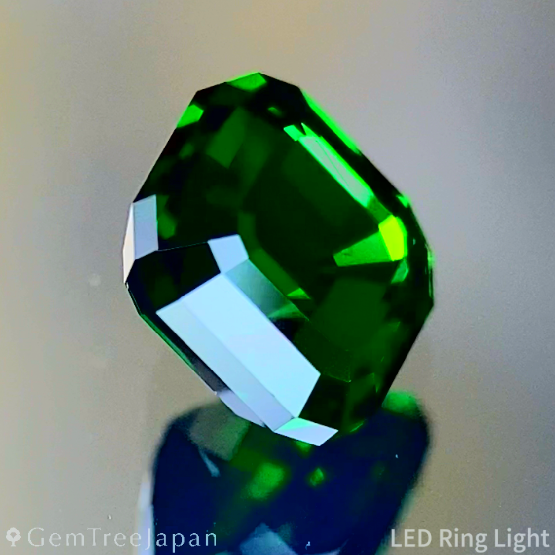 Tsavorite (Grossular Garnet) 1.141ct / Tanzania
