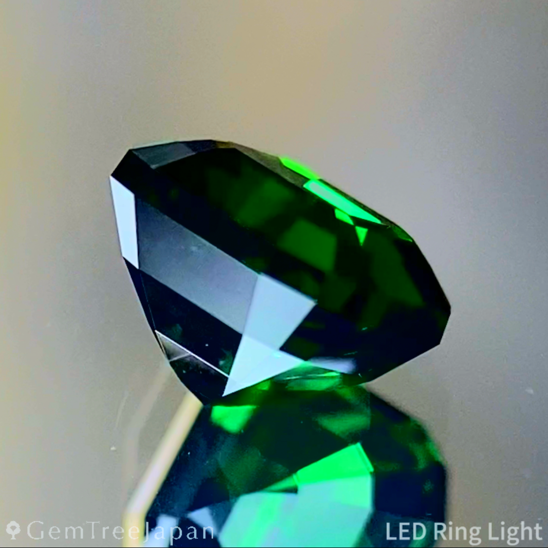 Tsavorite (Grossular Garnet) 1.141ct / Tanzania