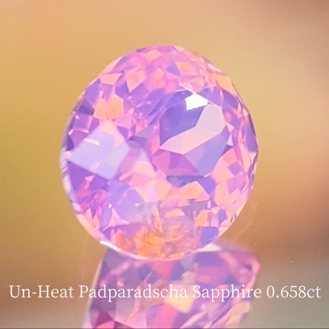 Special Sapphire 2pc Set / Un-Heat Padparadscha 0.658ct & Royal Blue 1.028ct