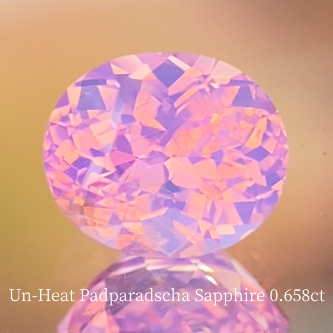 Special Sapphire 2pc Set / Un-Heat Padparadscha 0.658ct & Royal Blue 1.028ct