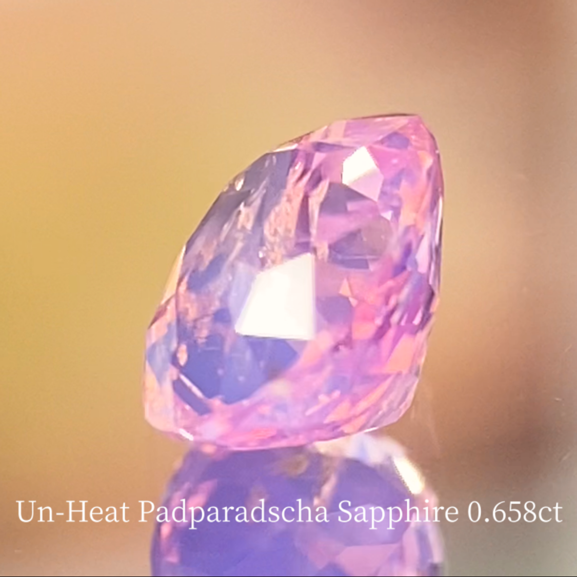 Special Sapphire 2pc Set / Un-Heat Padparadscha 0.658ct & Royal Blue 1.028ct