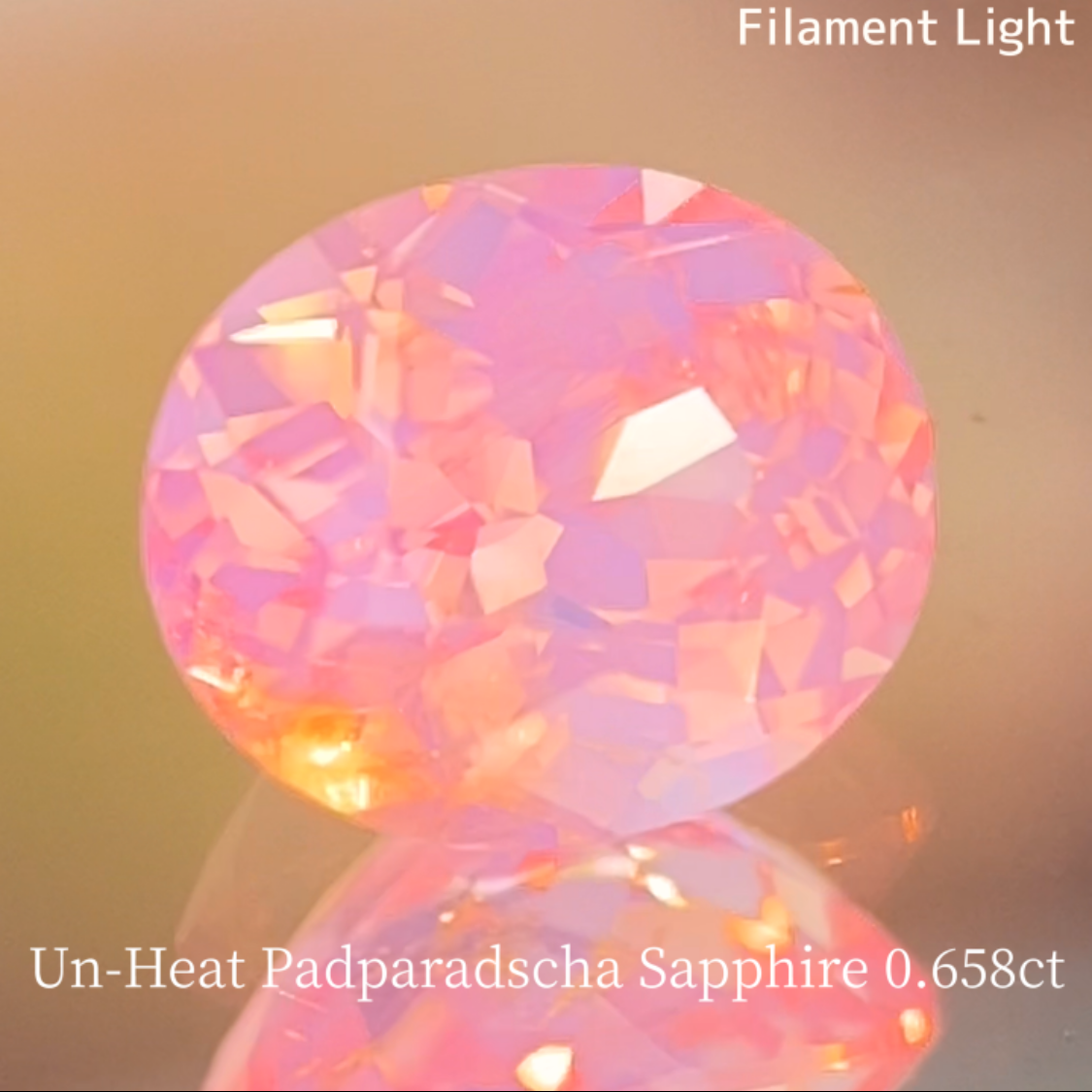 Special Sapphire 2pc Set / Un-Heat Padparadscha 0.658ct & Royal Blue 1.028ct