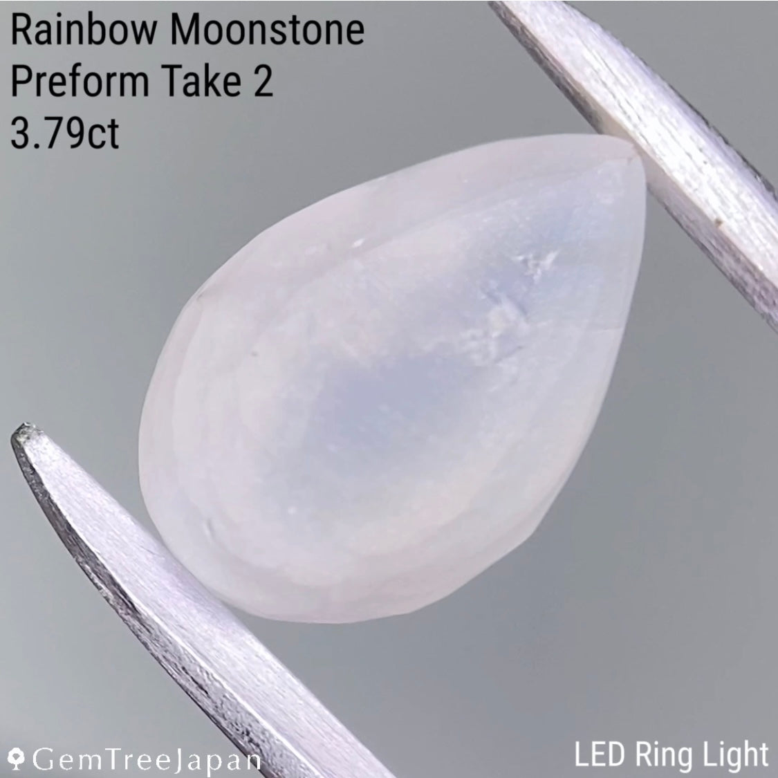【from Rough】Rainbow Moonstone 2.56ct / Madagascar