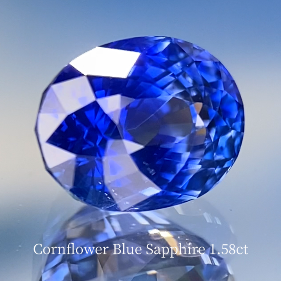 Special Sapphire 2pc Set / Cornflower Blue 1.58ct & Royal Blue 1.028ct