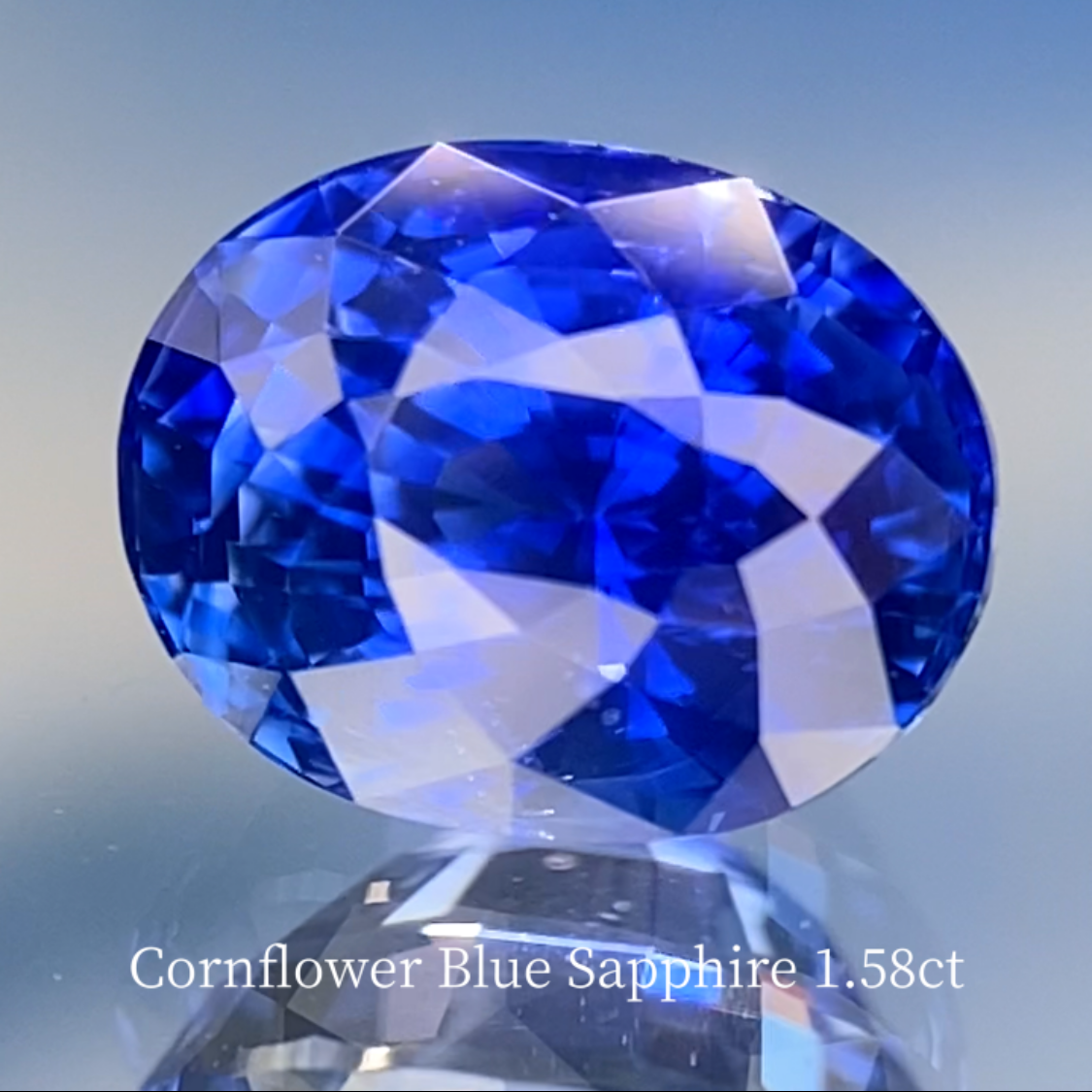 Special Sapphire 2pc Set / Cornflower Blue 1.58ct & Royal Blue 1.028ct