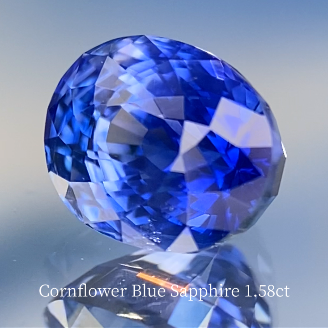 Special Sapphire 2pc Set / Cornflower Blue 1.58ct & Royal Blue 1.028ct