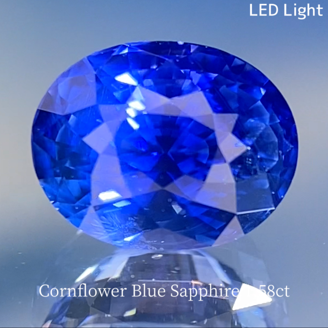 Special Sapphire 2pc Set / Cornflower Blue 1.58ct & Royal Blue 1.028ct