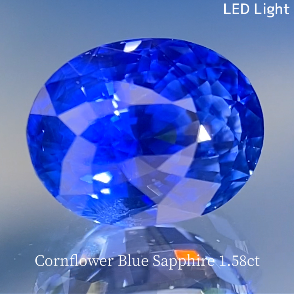 Special Sapphire 2pc Set / Cornflower Blue 1.58ct & Royal Blue 1.028ct