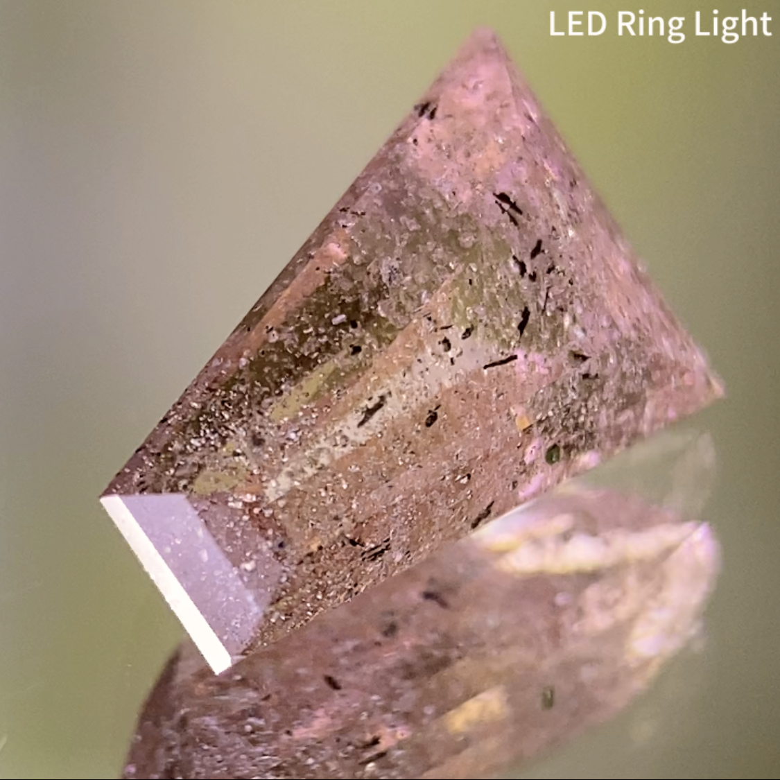 【One Price】Malaya Garnet 2.304ct