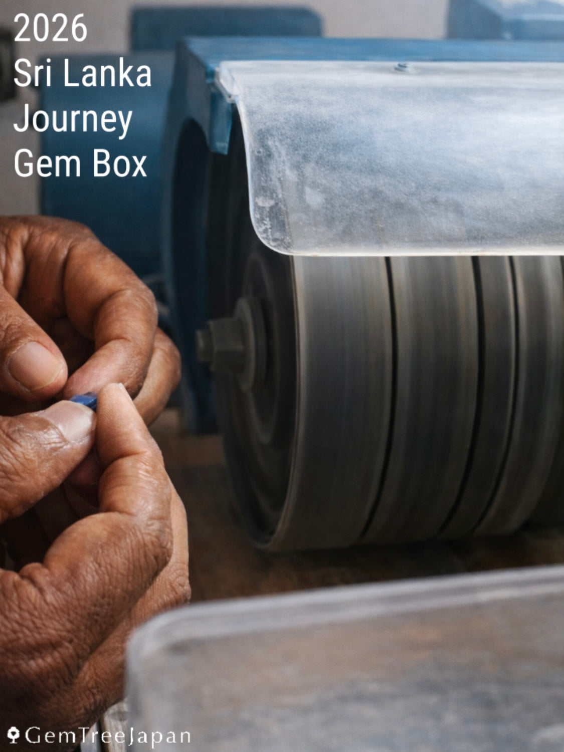 2026スリランカ旅宝石箱✴︎