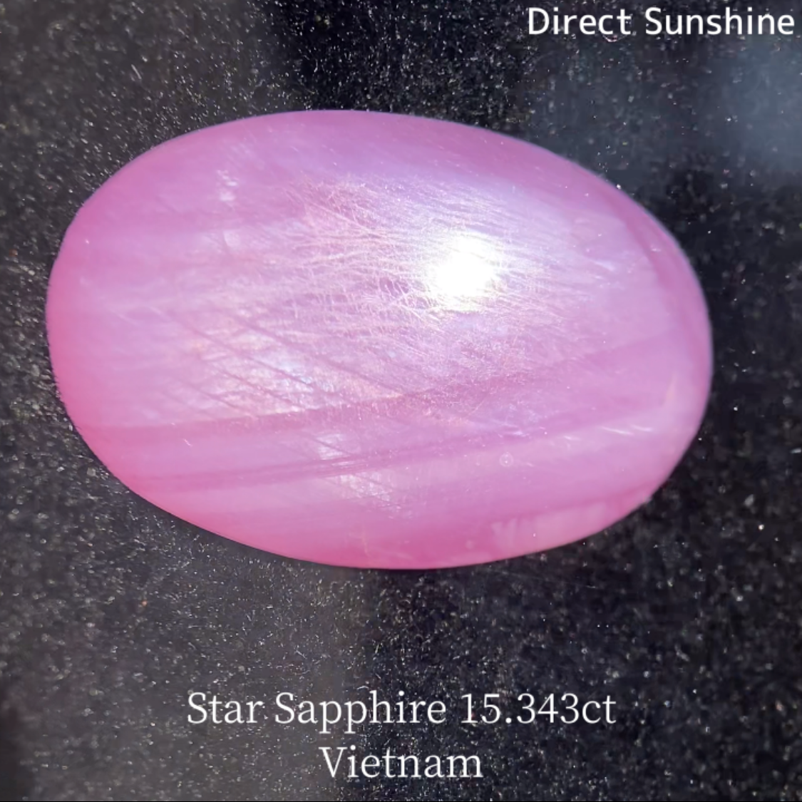 Star Sapphire 15.343ct / Vietnam