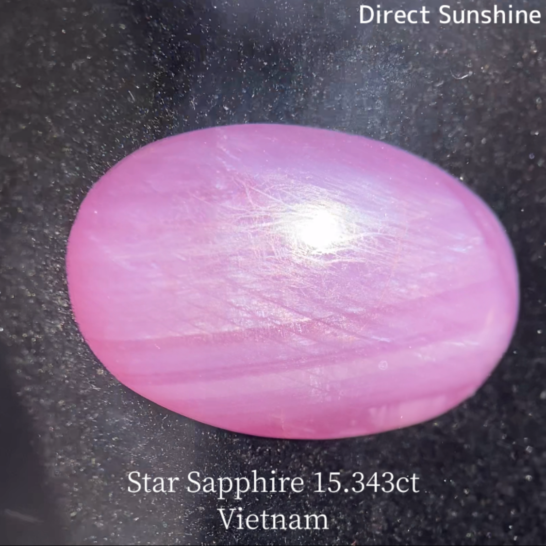 Star Sapphire 15.343ct / Vietnam