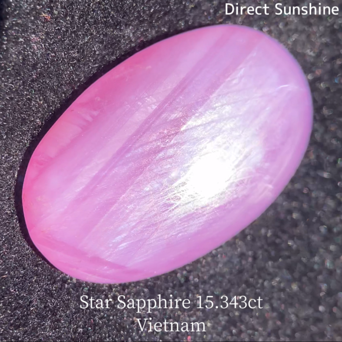 Star Sapphire 15.343ct / Vietnam