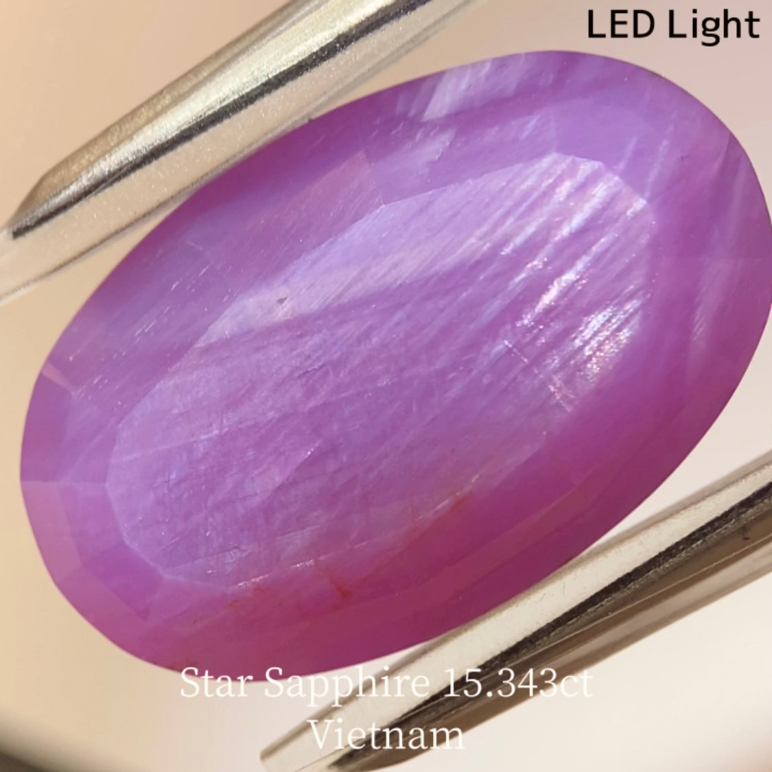 Star Sapphire 15.343ct / Vietnam