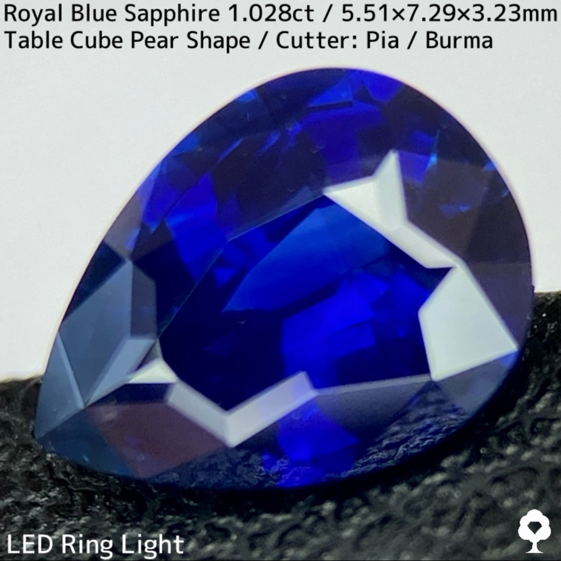 GTJ Special Sapphire 3pc Set