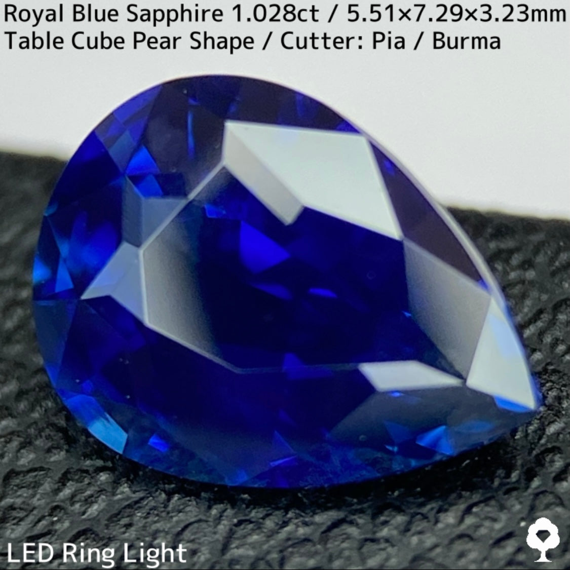 GTJ Special Sapphire 3pc Set