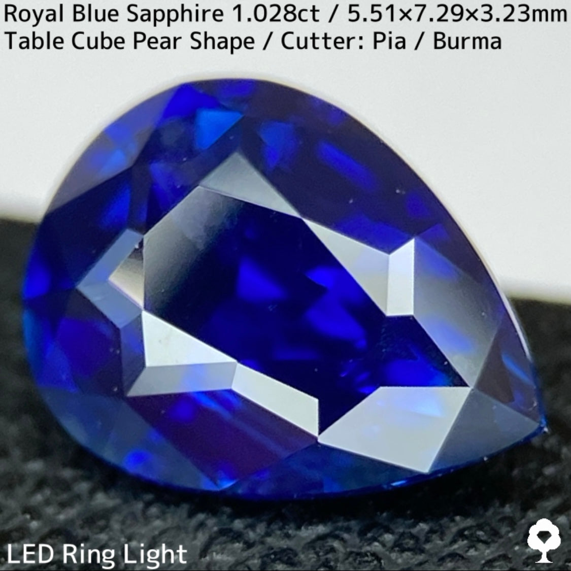 GTJ Special Sapphire 3pc Set