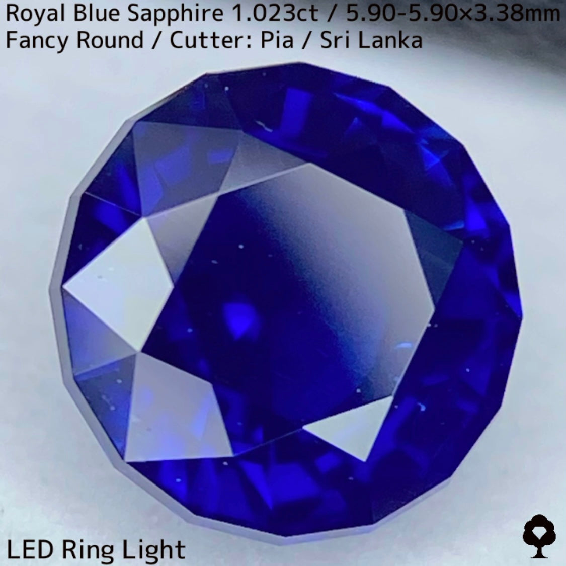 Royal Blue Sapphire 1.023ct / Sri Lanka