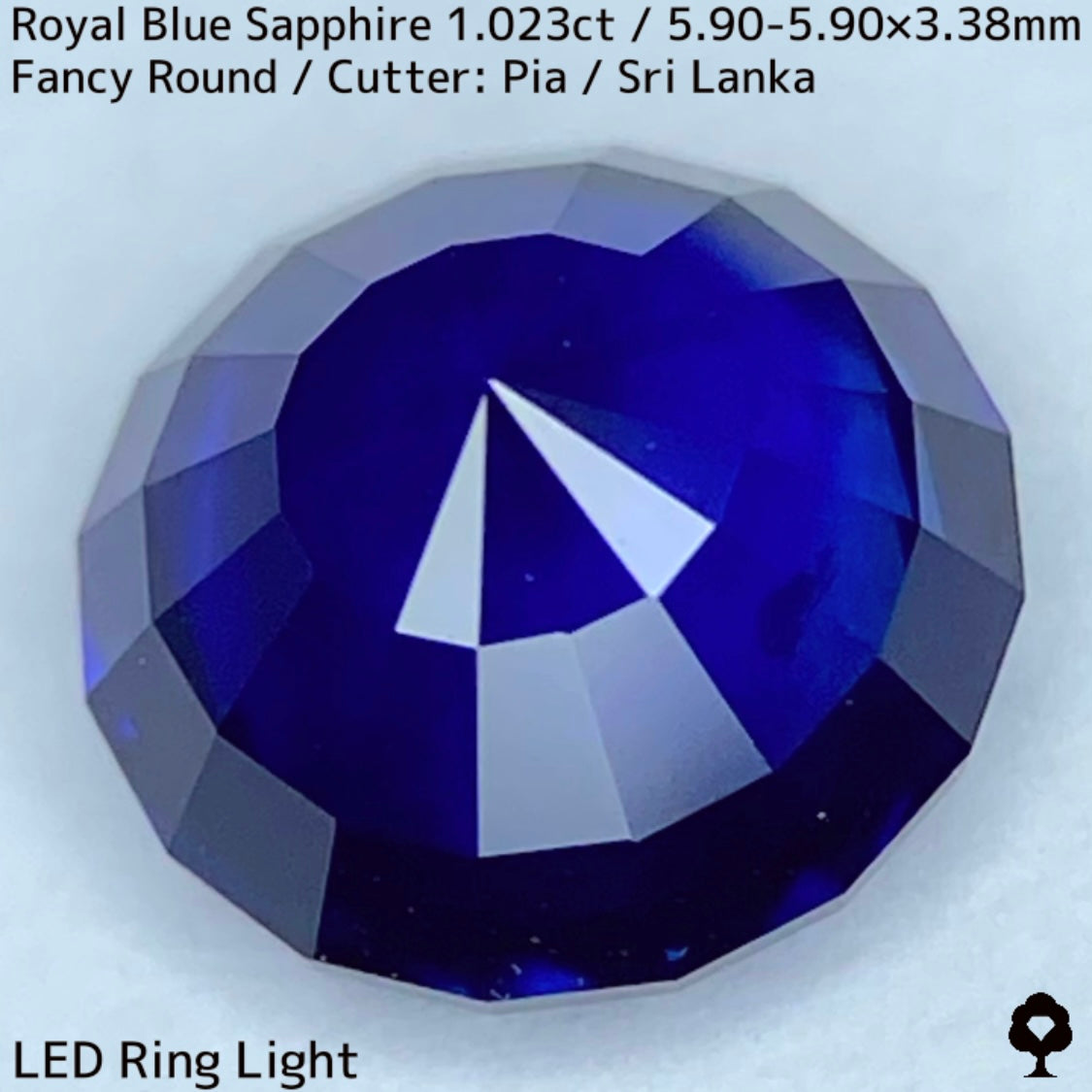Royal Blue Sapphire 1.023ct / Sri Lanka
