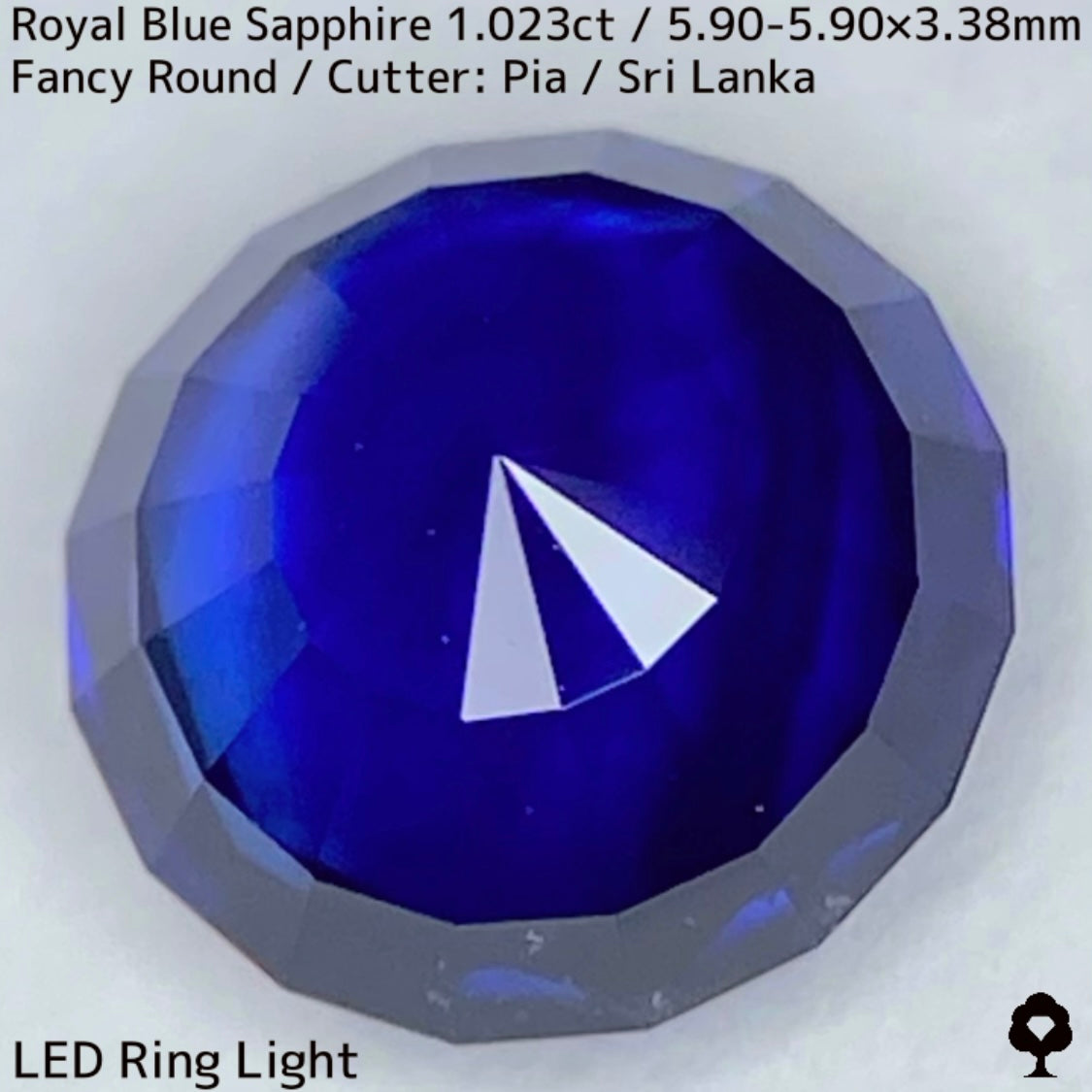 Royal Blue Sapphire 1.023ct / Sri Lanka