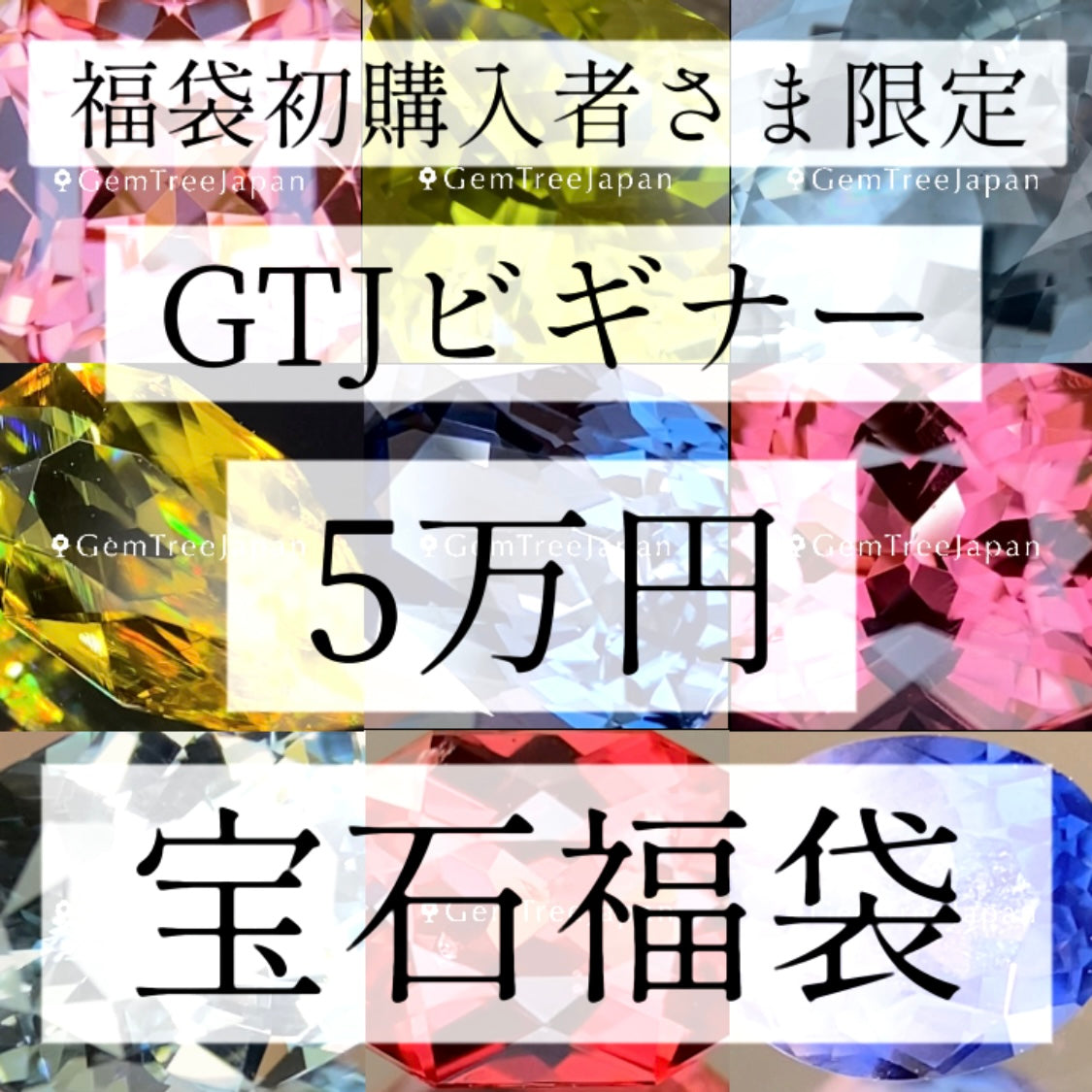 【福袋初購入者さま限定】GTJビギナー5万円福袋 11/17(日)まで1万円分ウェブチケット贈呈