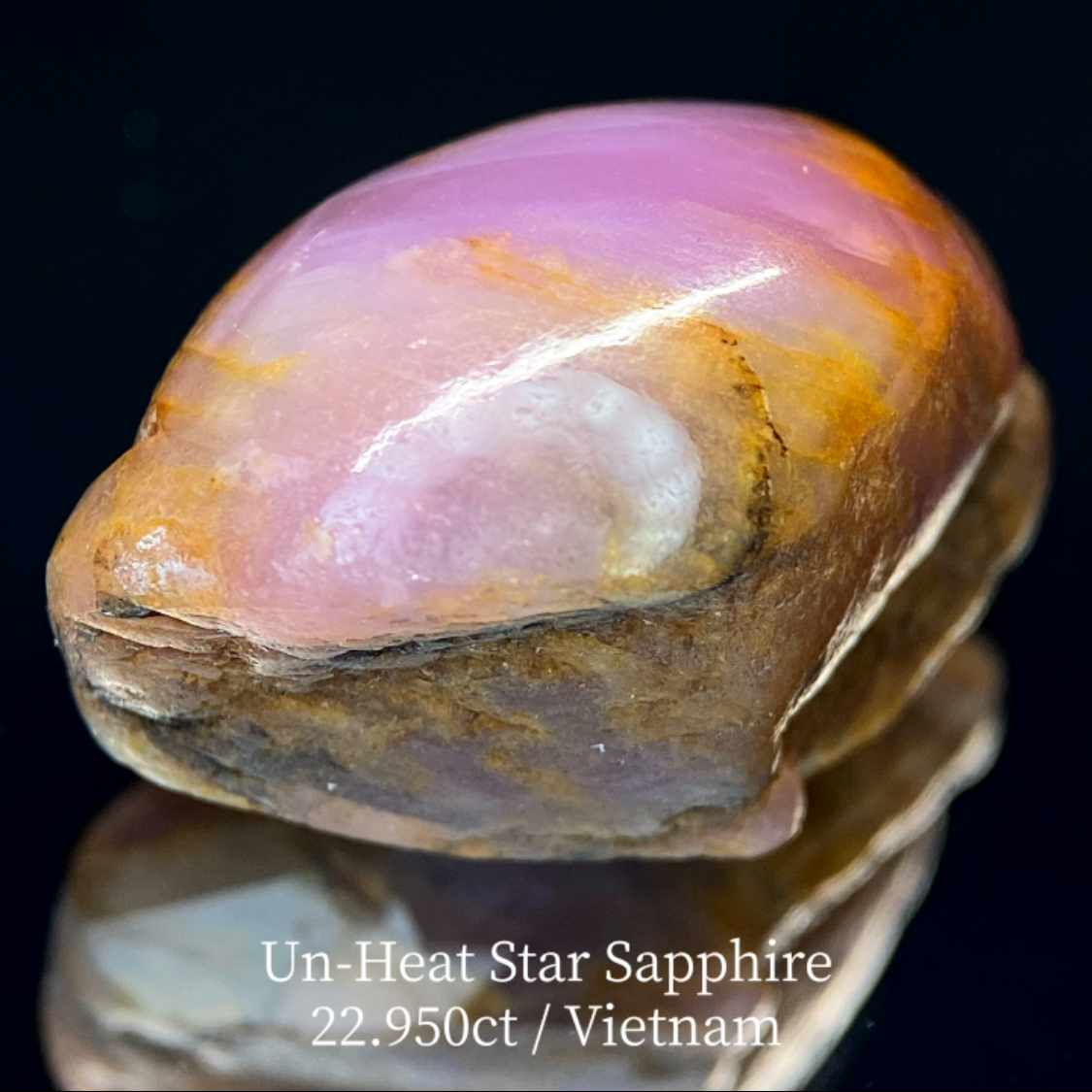 Un-Heat Star Sapphire 22.950ct / Vietnam