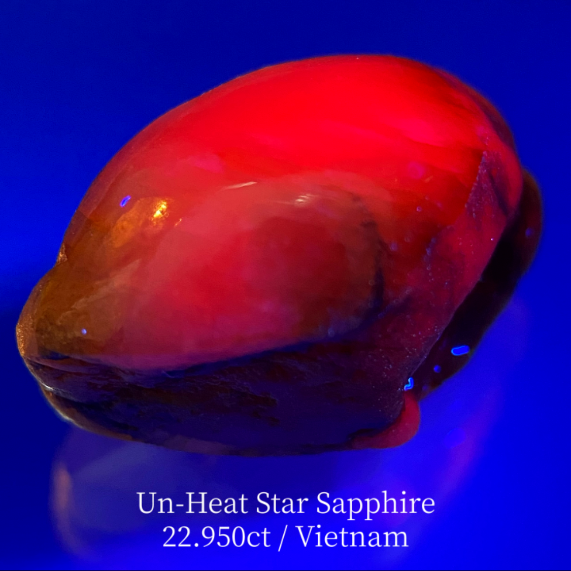 Un-Heat Star Sapphire 22.950ct / Vietnam