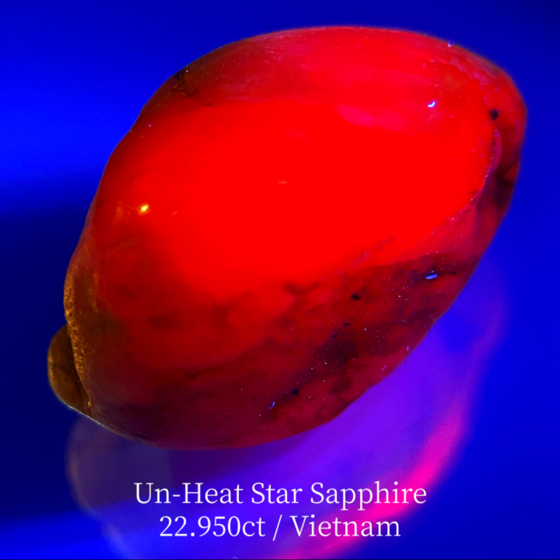 Un-Heat Star Sapphire 22.950ct / Vietnam