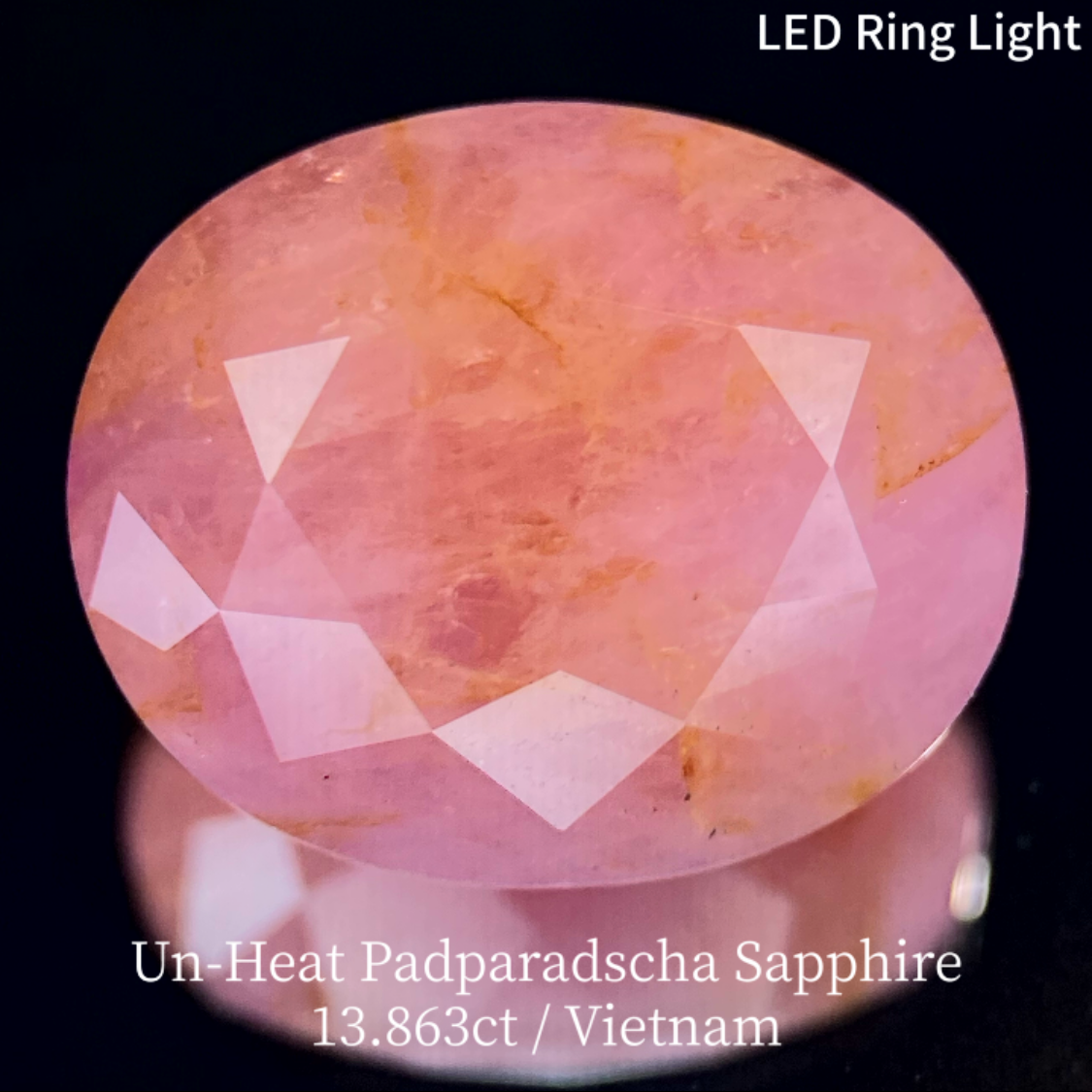 【15万円以上のお買物で無料に】Un-Heat Padparadscha Sapphire 13.683ct / Vietnam