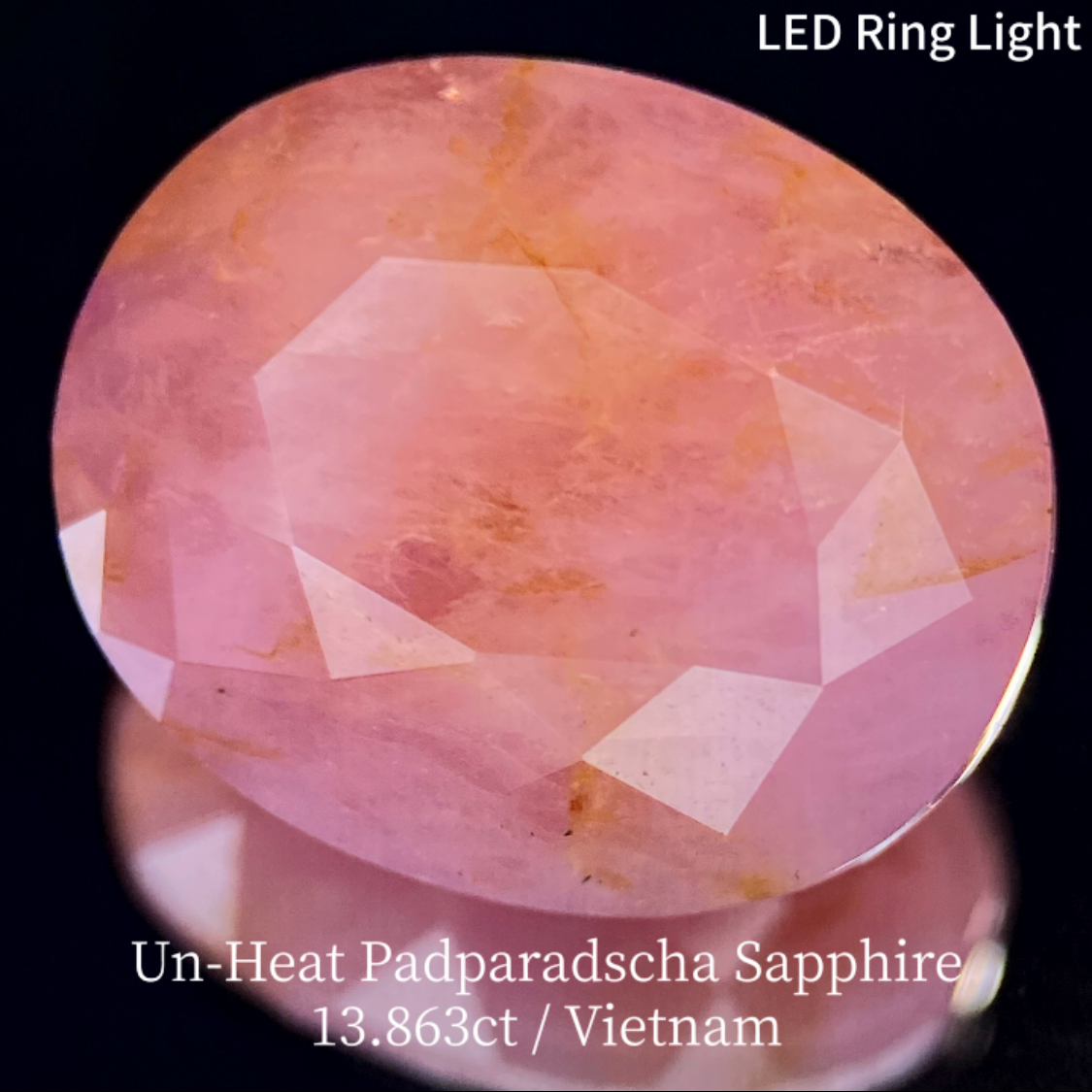 【15万円以上のお買物で無料に】Un-Heat Padparadscha Sapphire 13.683ct / Vietnam
