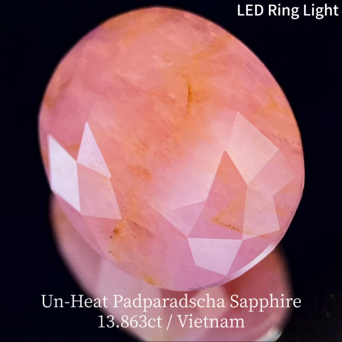 【15万円以上のお買物で無料に】Un-Heat Padparadscha Sapphire 13.683ct / Vietnam