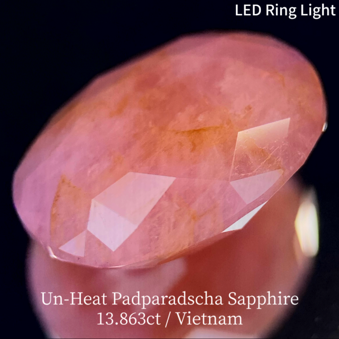 【15万円以上のお買物で無料に】Un-Heat Padparadscha Sapphire 13.683ct / Vietnam