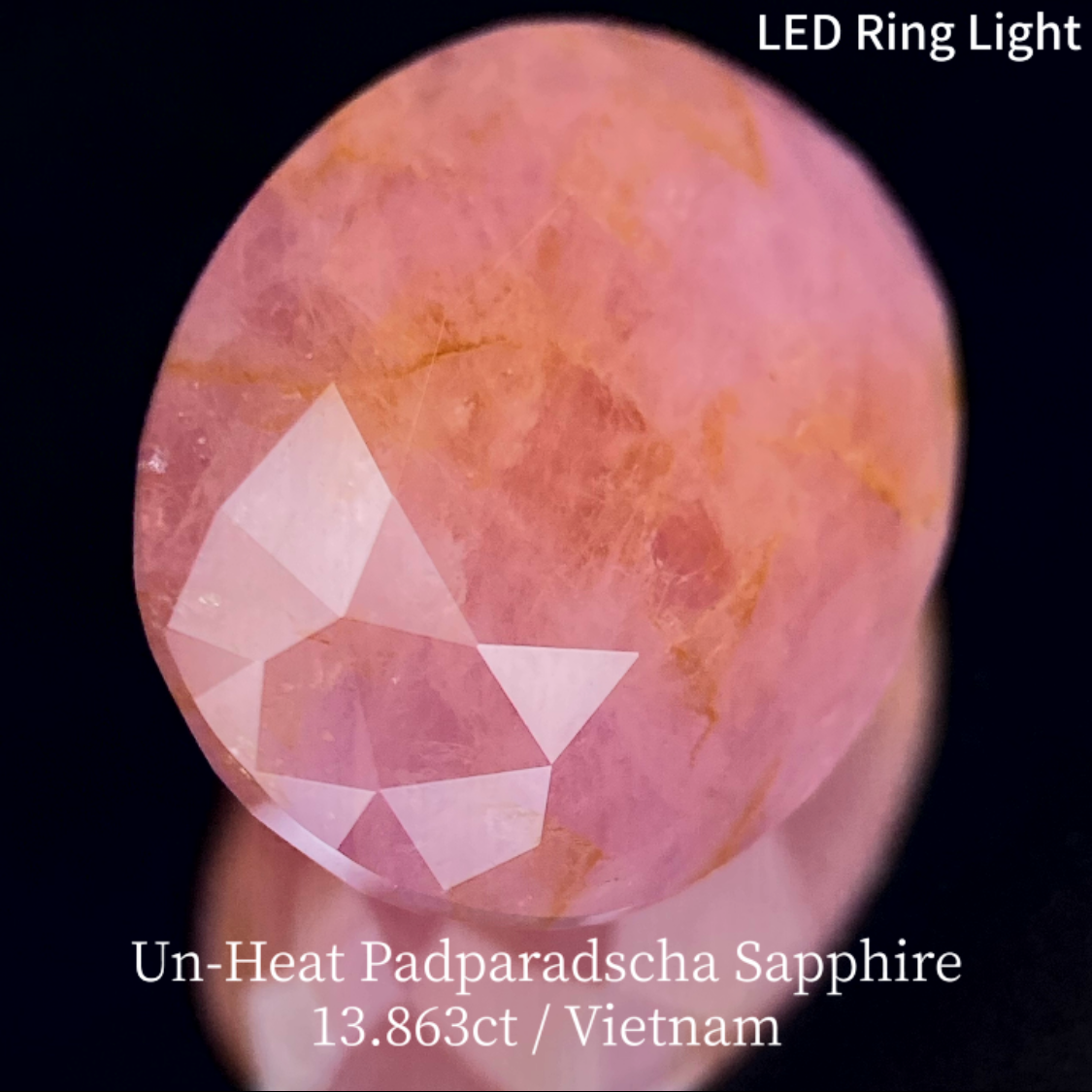 【15万円以上のお買物で無料に】Un-Heat Padparadscha Sapphire 13.683ct / Vietnam