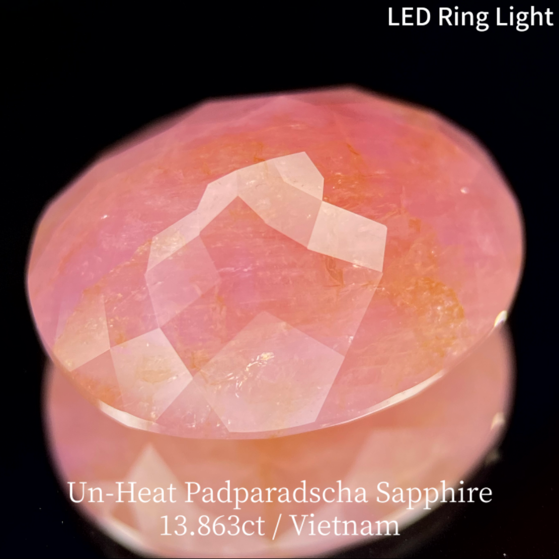 【15万円以上のお買物で無料に】Un-Heat Padparadscha Sapphire 13.683ct / Vietnam